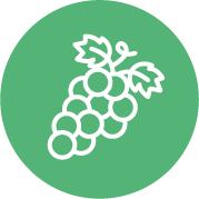 icone caixo de uva